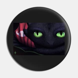 Toothless Pin