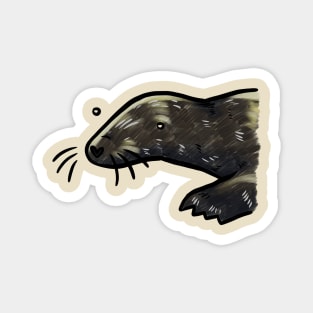 Grey Seal Portrait Magnet