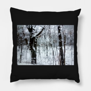 Winter Slush Pillow