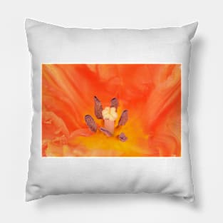 Tulipa  &#39;Monarch Parrot&#39;  Tulip  Parrot Group Pillow