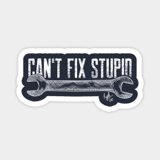 Can't Fix Stupid Magnet