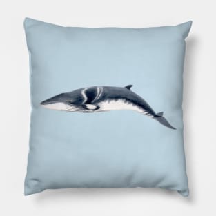 Baby Minke whale Pillow