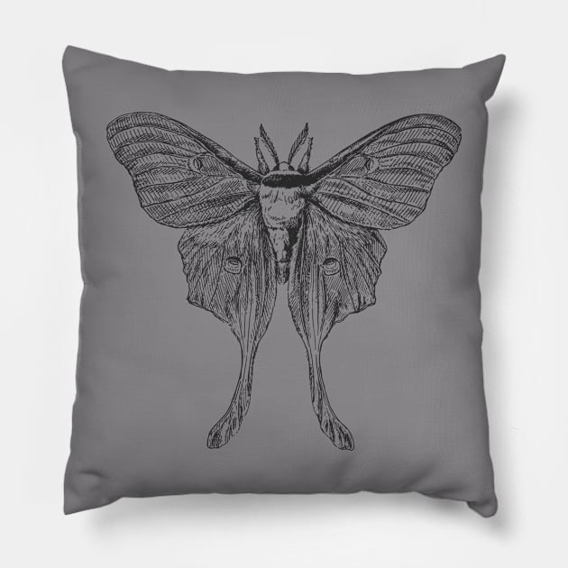 Goodnight Moth Pillow by Zia's Tees