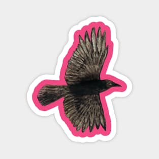 Flying crow Magnet