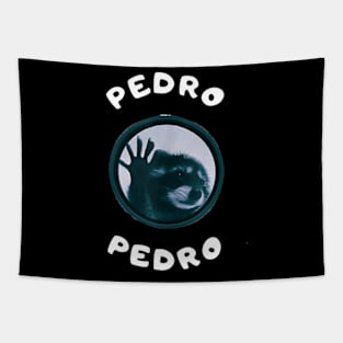 Pedro Racoon Dance Internet Tapestry