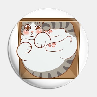 Tabby cat in the box Pin