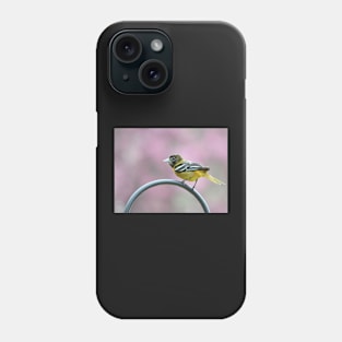 Female Oriole Phone Case