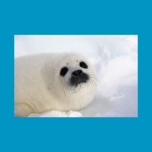 Baby Harp Seal on Ice and Snow, Canada T-Shirt