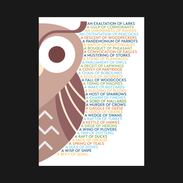 Bird Group Terminology - Owl Edition by coolville