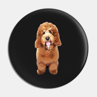 Cockerpoo Cockapoo Spoodle Cute Puppy Dog Doodle Pin