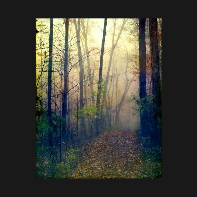 Wandering in a Foggy Woodland by oliviastclaire