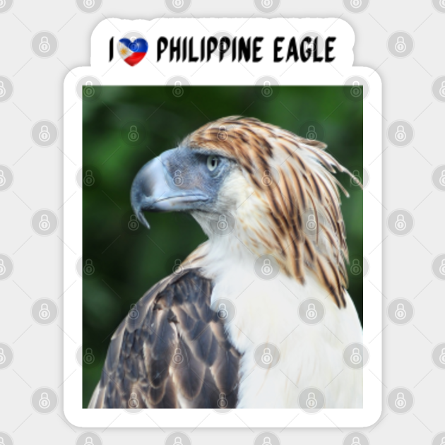 i love philippine eagle philippine eagle sticker teepublic i love philippine eagle