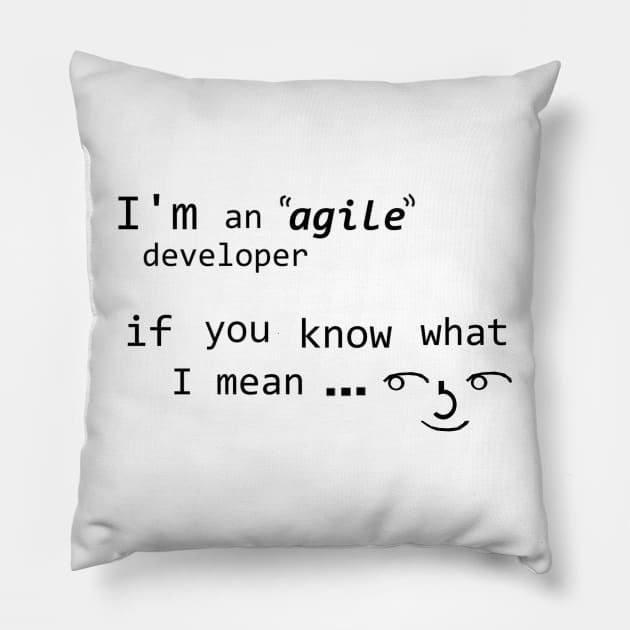 Agile ( ͡° ͜ʖ ͡°) Pillow by findingNull