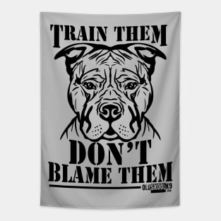 Train them, Don't blame them Tapestry