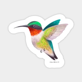Hummingbird Magnet