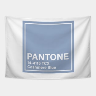 pantone 14-4115 TCX Cashmere Blue Tapestry