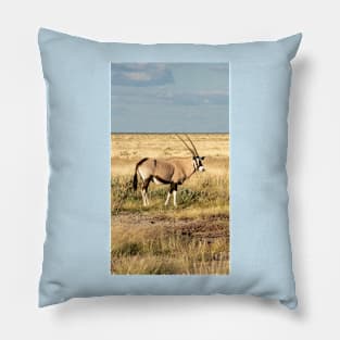 Gemsbok. Pillow