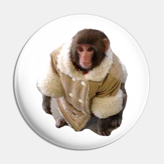 Meme monkey funny | Sticker