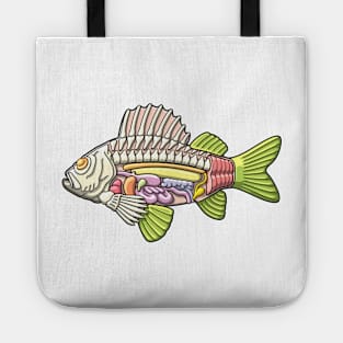 Colorful Fish Anatomy Illustration Tote