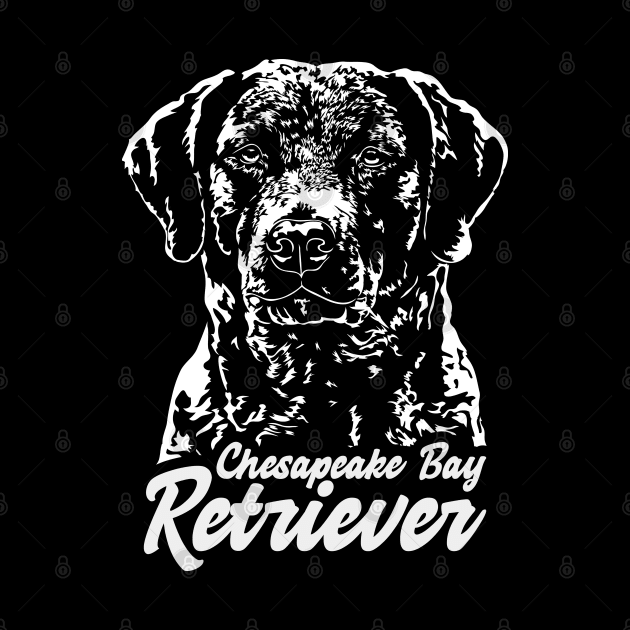 Chesapeake Bay Retriever Dog Portrait by wilsigns
