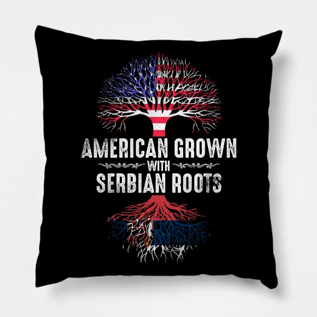 Serbian American Pillow by Mila46