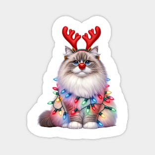 Christmas Red Nose Ragdoll Cat Magnet