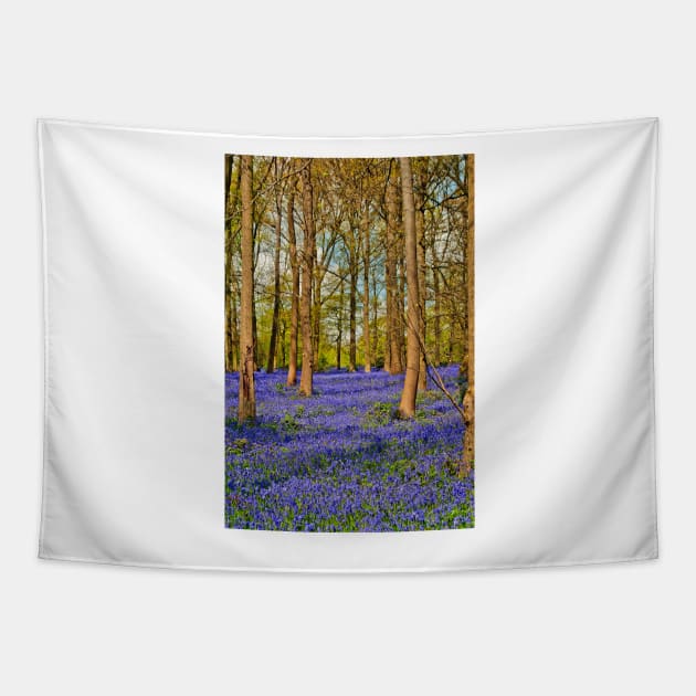 Bluebell Woods Greys Court Oxfordshire England Tapestry by AndyEvansPhotos