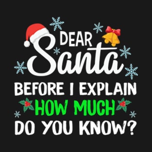 Funny Christmas Shirts Kids Adults Dear Santa Before How Much Do You Know Christmas Gift T-Shirt