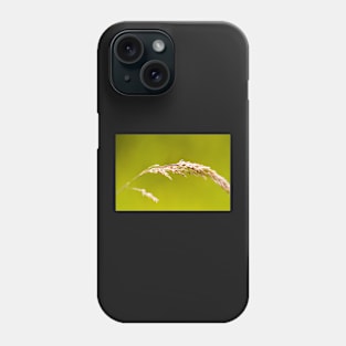 Yorkshire Fog Grass Phone Case