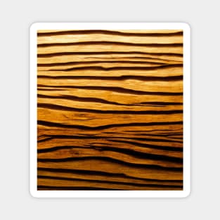 Photoreal Wood Wonder - wood grain art Magnet