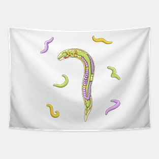 C elegans Nematode Anatomy Illustration Tapestry