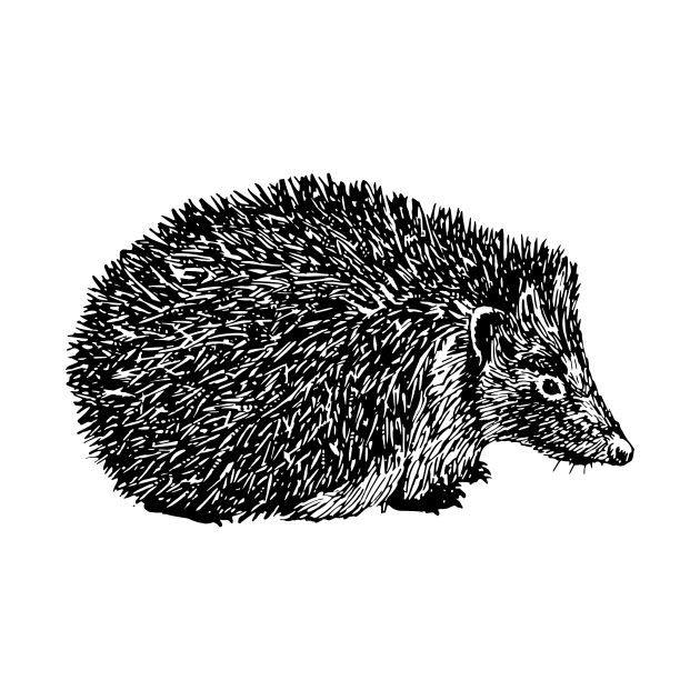 Hedgehog by linesdesigns