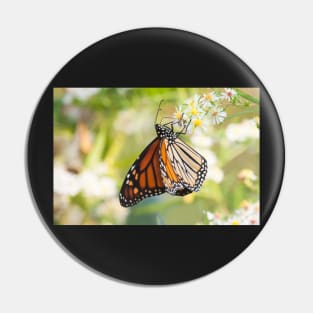 Madame Butterfly Pin