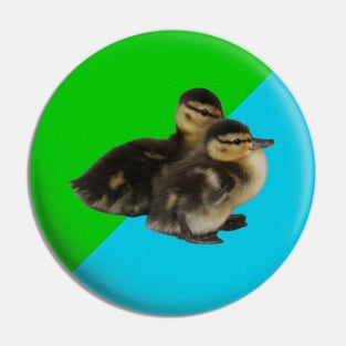 Baby Ducks 1 on Grass Green and Sky Blue Pin