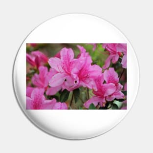 Smiling Azalea Pin