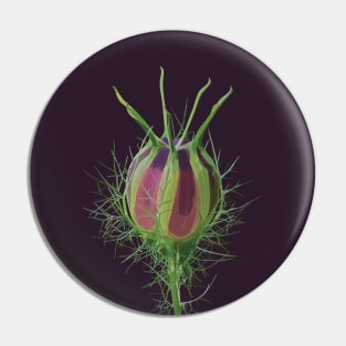 Nigella damascena Pin