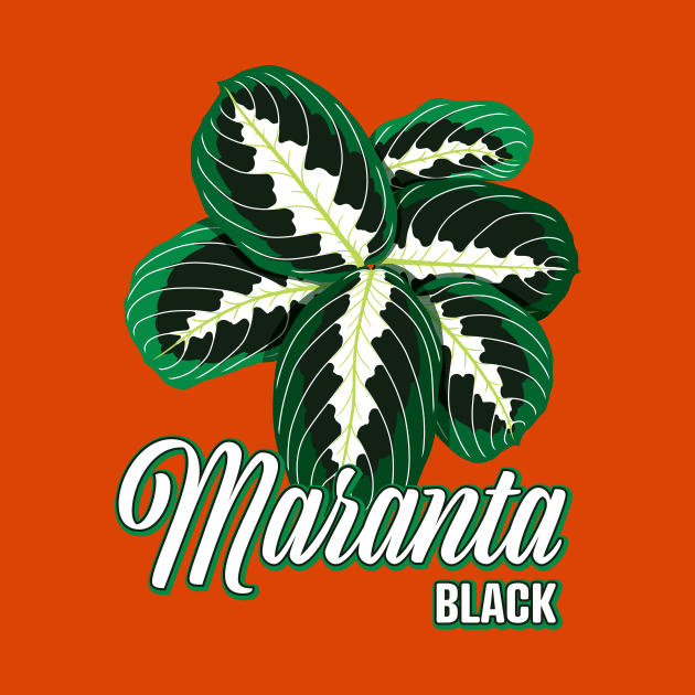 Maranta Black by LEO+SKYLAR