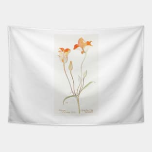 Desert mariposa lily - Botanical Illustration Tapestry