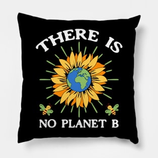 There is no Planet B Pillow