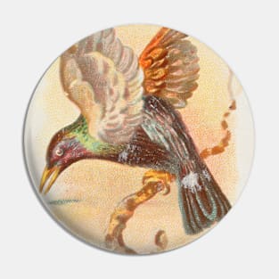 Persian Starling Pin