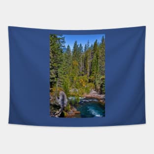 Canada. Canadian Rockies. Jasper National Park. Maligne Canyon. Tapestry