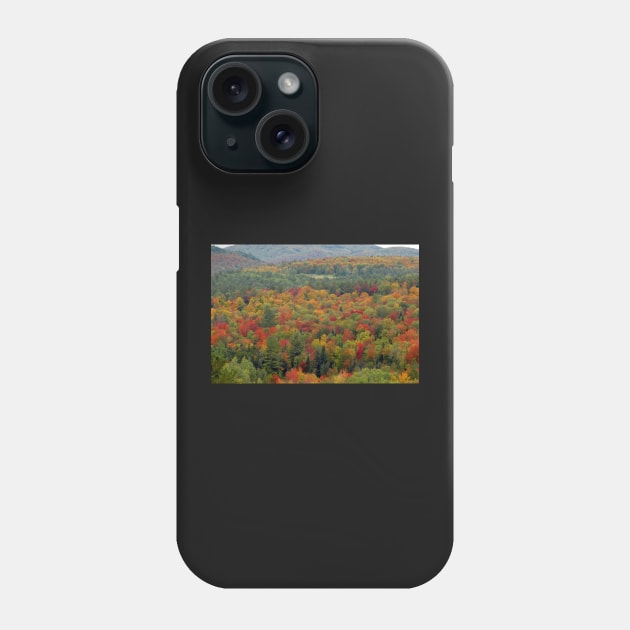 Fall landscape Phone Case by dltphoto