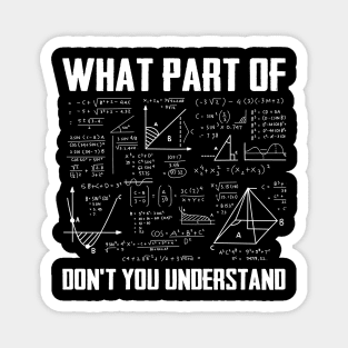What Part Of Don't You Understand Funny Math Teacher Magnet