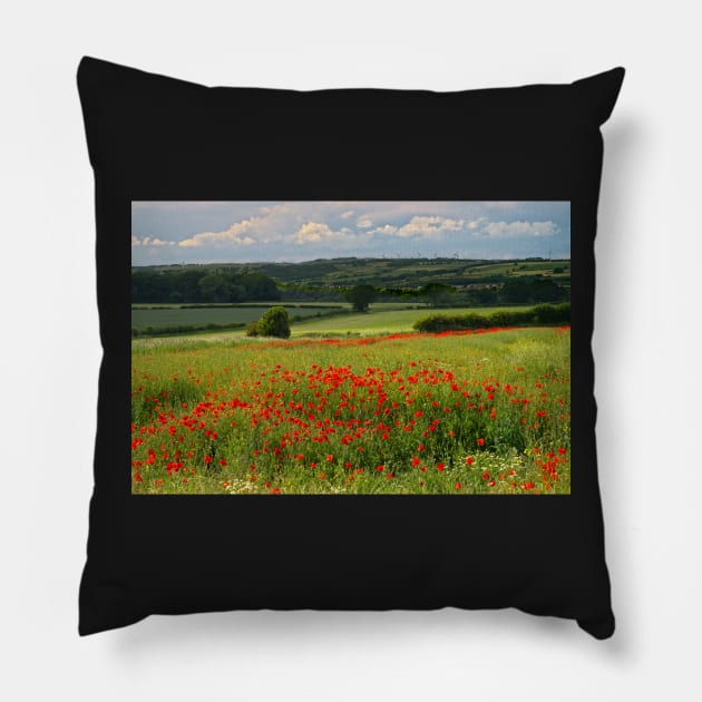 Red Poppies Pillow by MartynUK