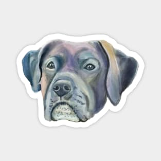 Watercolor Mastiff Dog Face Magnet