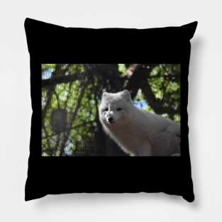 Arctic Fox Pillow