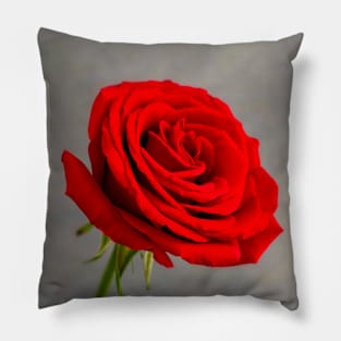 Single Red Rose Pillow