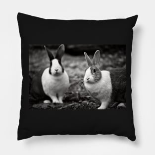 Bunny Buddies Pillow