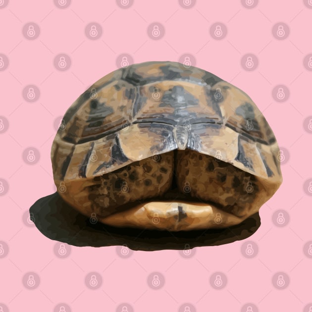 Tortoise Tucked In Vector Art Cut Out by taiche