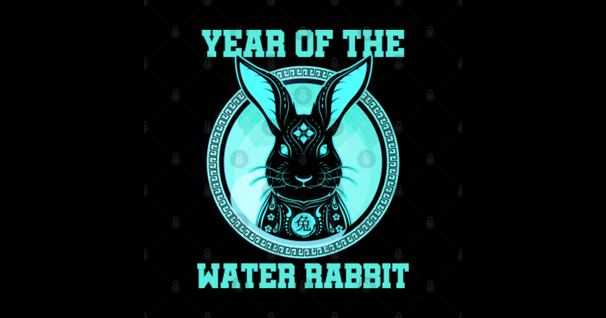 year of the water rabbit. Chinese Zodiac New Year Lunar 2023 Year Of